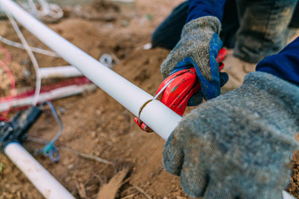 Best Local Plumber Services  in Federal Heights, CO